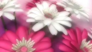 Футаж Цветы