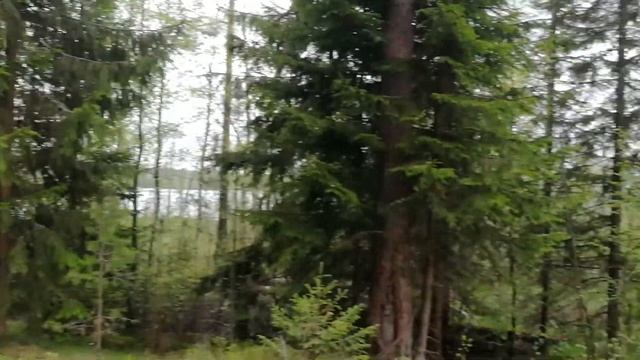 40 соток 1-я линия оз. Большое Симагинское смотреть онлайн