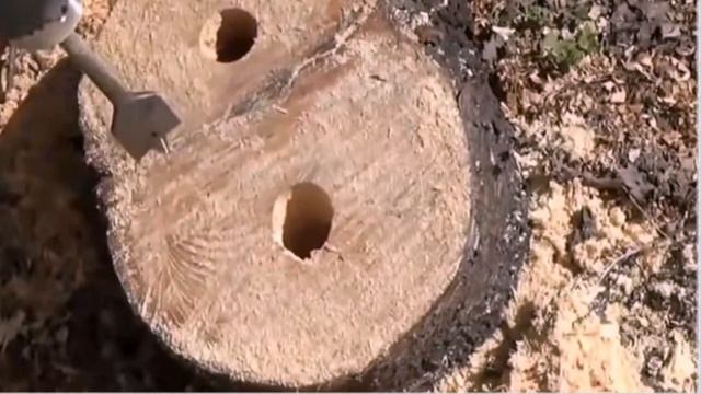 Строительные Перспективы