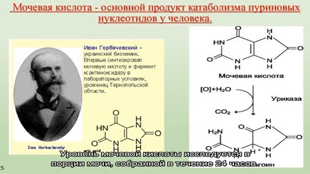 Анализ мочи на мочевую кислоту