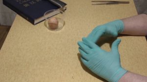 Как сделать гомункула #4 (Homunculus)