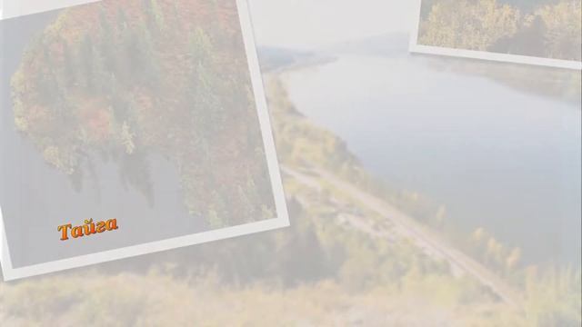 "Осенний экспресс" по России смотреть онлайн