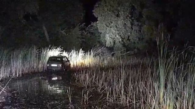 Лягушка в деле