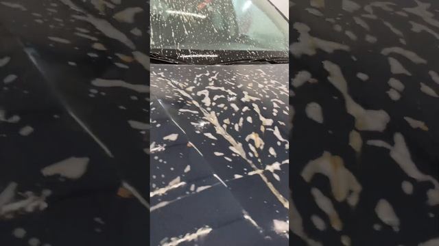 Тополиные почки смотреть онлайн