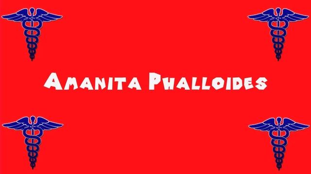 Pronounce Medical Words ― Amanita Phalloides