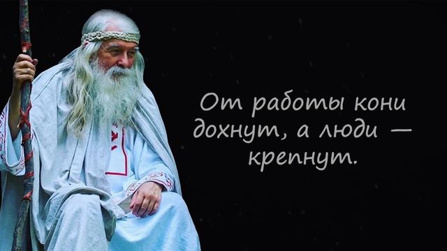Короткие, но Невероятно Мудрые Русские Пословицы и Поговорки | Цитаты, афоризмы, мудрые мысли. смотреть онлайн