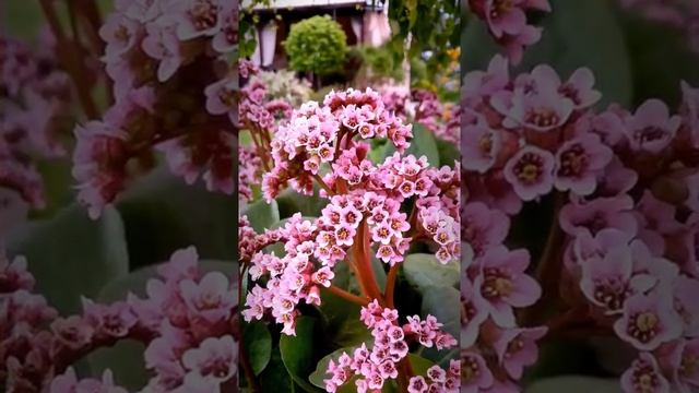 Продажа коттеджа г. Ревда, Свердловская область смотреть онлайн