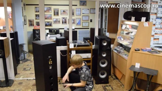 Обзор акустики Dynavoice Challenger M-105 EX v.4 смотреть онлайн