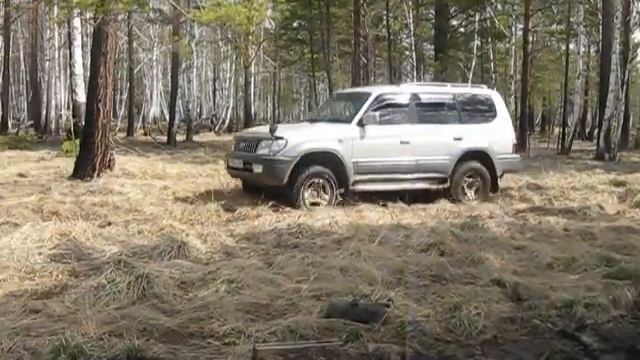 болото на прадо смотреть онлайн