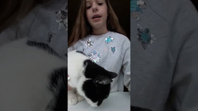 //ДрЕсСиРоВкА кота// Как наУчиТь кота дАвАтЬ лапу смотреть онлайн