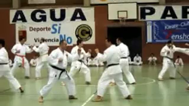 Tensho Gala 20 Aniversario Goju Ryu Karate-Club Tensho смотреть онлайн