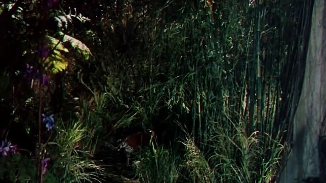 The Jungle Book Full Movie In English | Adventure , Family Movies in English смотреть онлайн