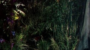 The Jungle Book Full Movie In English | Adventure , Family Movies in English