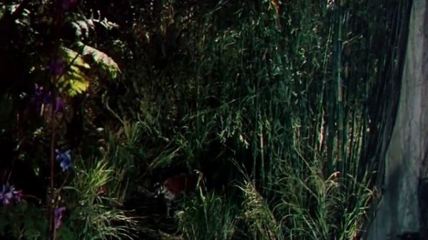 The Jungle Book Full Movie In English | Adventure , Family Movies in English