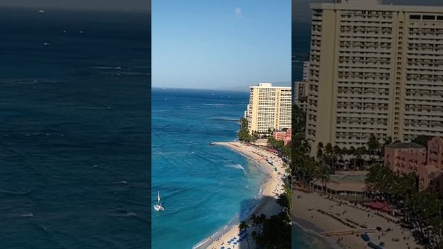 Утро в Гонолулу: Чашечка кофе, Бирюзовый Тихий океан и Безмятежная Жизнь. #shorts смотреть онлайн