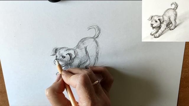 Как нарисовать щенка карандашом. Мастер-класс // Short pencil drawing tutorial: puppy смотреть онлайн
