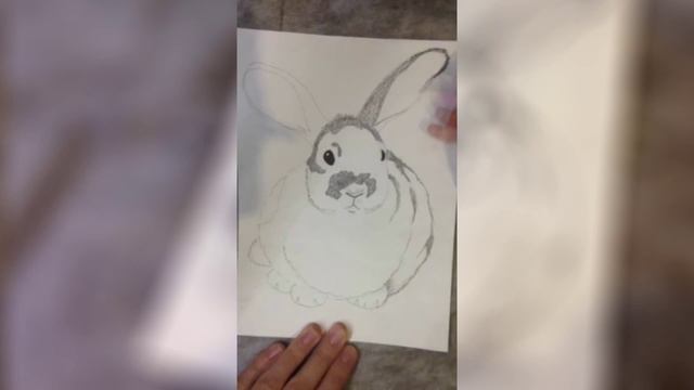 Как нарисовать кролика. смотреть онлайн