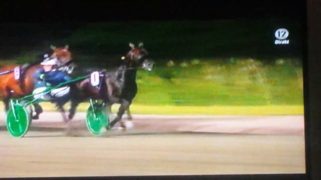 V75 Jägersro Hugo Åbergs Memorial 2019 Rinogosrarr Treb