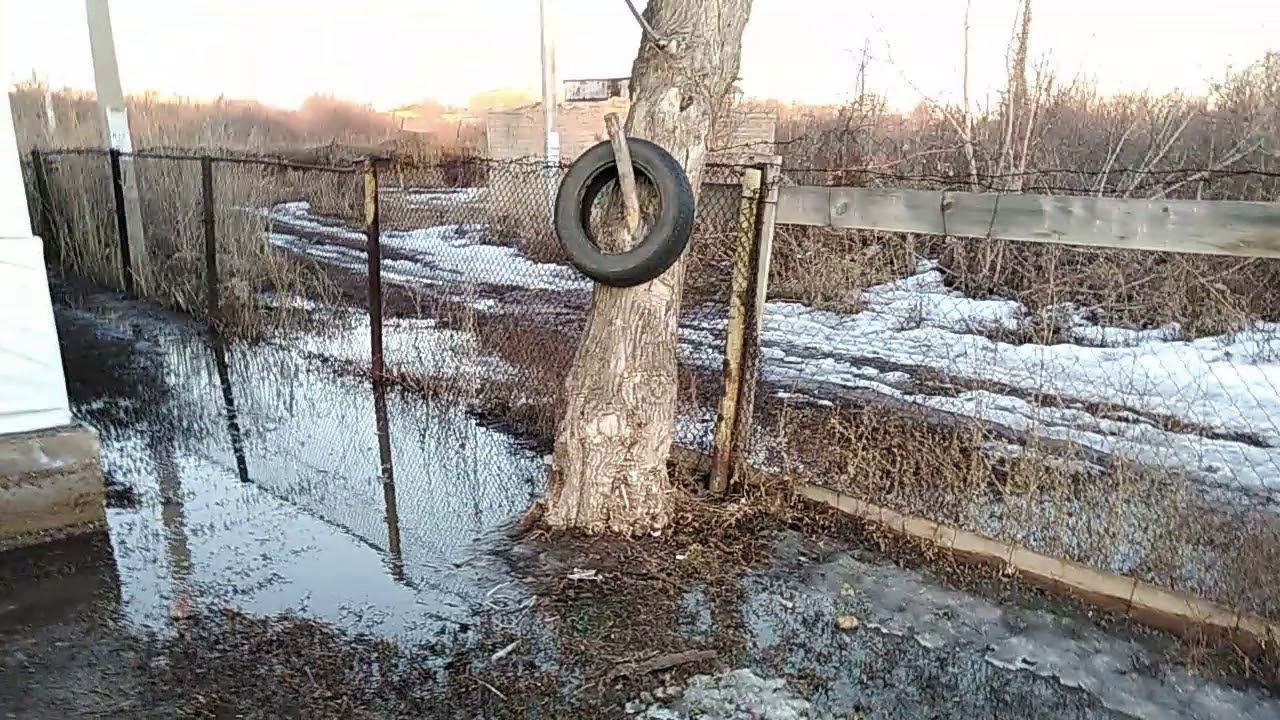 Бёрды дачи. Весна 2018 смотреть онлайн