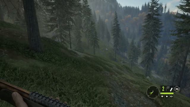 theHunter Call of the Wild Сюжет Заказник Хиршфельден Часть 7 смотреть онлайн
