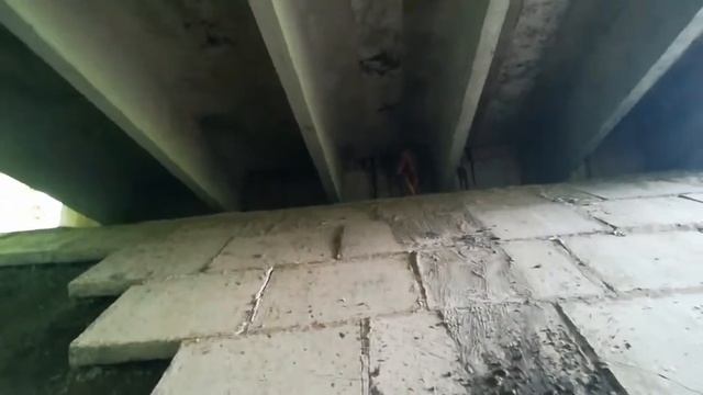 Зачем я вызвала Баку пожирателя снов!! смотреть онлайн