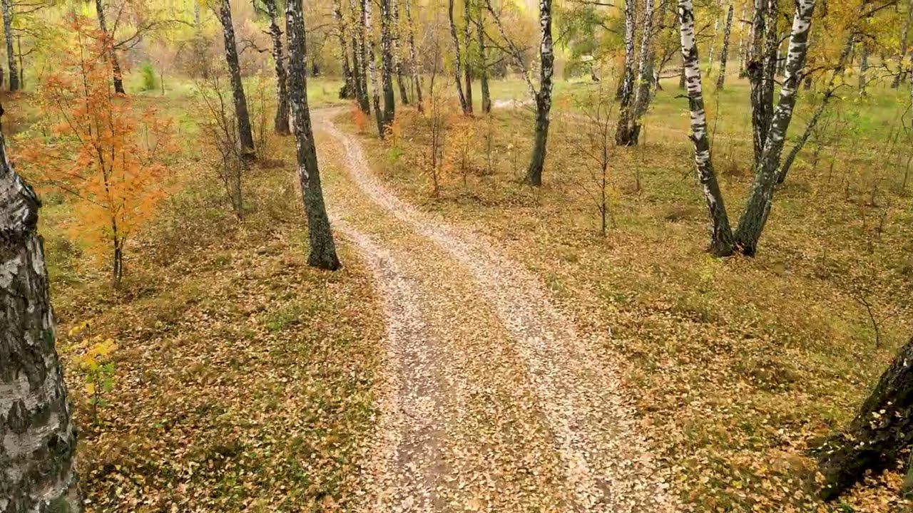 Осень