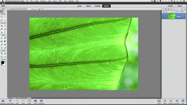 See More Photo in Photoshop Elements смотреть онлайн