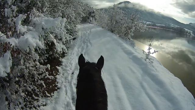 На лошадях по Байдарской долине смотреть онлайн