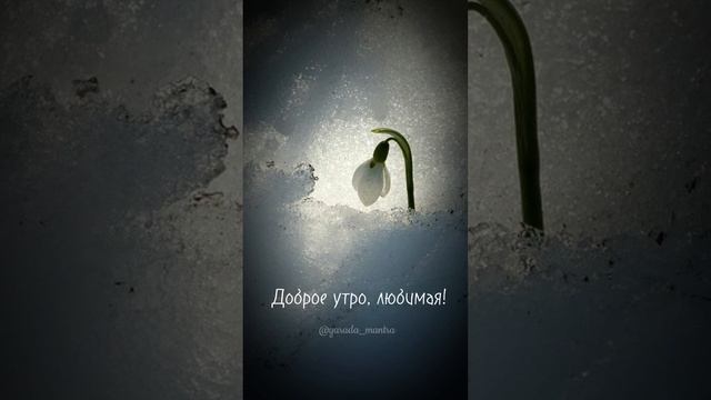 Медитация на каждый день. Голосовое послание для счастья Женщины. смотреть онлайн
