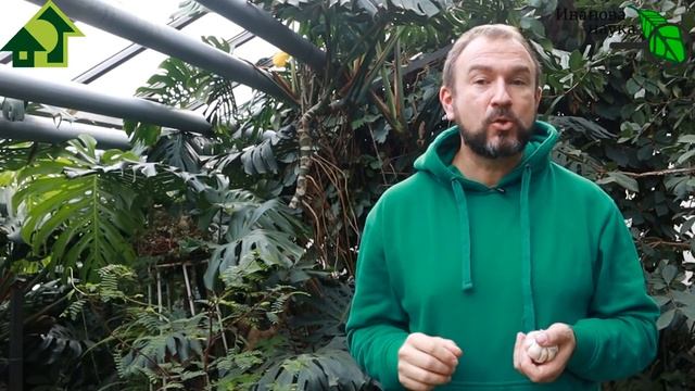 6 СПОСОБОВ СОХРАНИТЬ ЧЕСНОК БЕЗ ПРОРАСТАНИЯ И ГНИЛИ. И СВОЙ, И ПОКУПНОЙ. смотреть онлайн