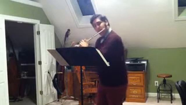 Poulenc Sonata Movement 1 for Flute and intro смотреть онлайн