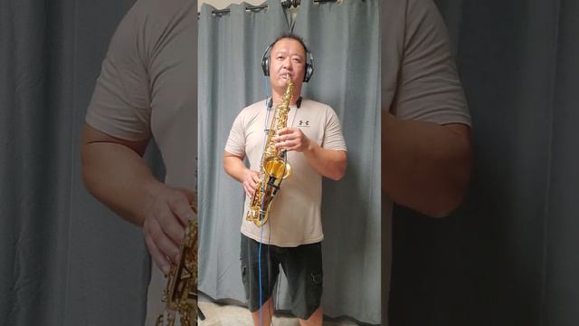 Lady Gaga Always remember us this way Alto sax Yamaha 62 смотреть онлайн