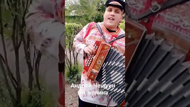 Андрей Чешуин- Ой, калина смотреть онлайн