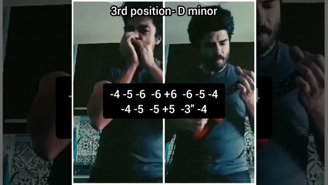 St James Infirmary on C Harmonica- 6 positions + tabs смотреть онлайн