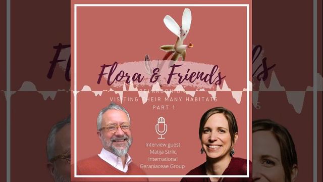 Pelargonium - Visiting their many habitats (part 1) - Guest: Matija Strlic, IGG смотреть онлайн