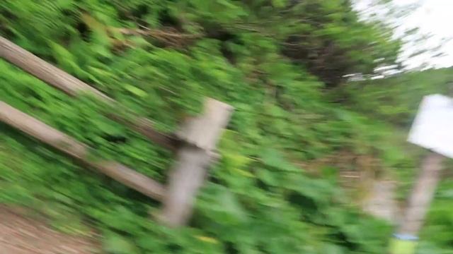 ZAKOPANE POLAND | HOW DID THIS HAPPEN ( EPIC ROAD TRIP TO POLAND )