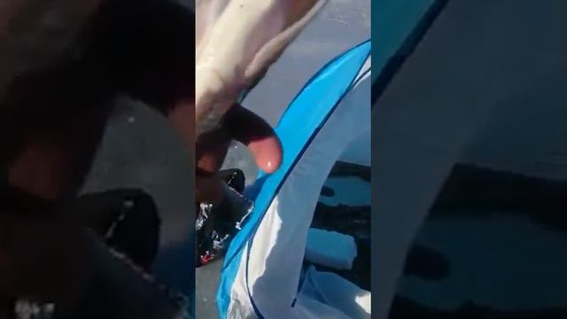 Щука 2 кг.на мормышку и леска о.25 .ВКО.Буконь.15. смотреть онлайн