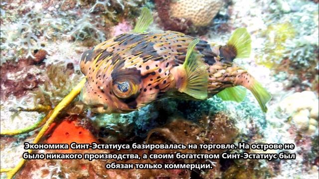 PJ5/KG9N Остров Синт Эстатиус. С сайта dxnews.com смотреть онлайн