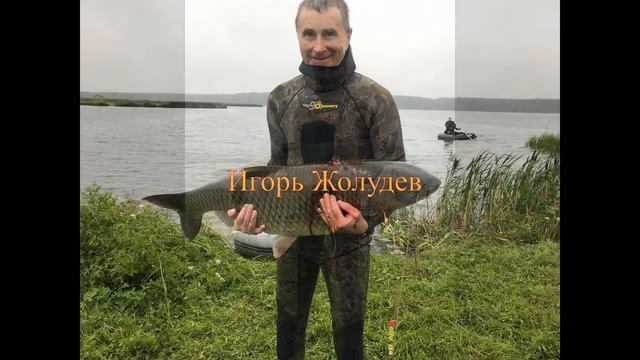 Чемпионат по подводной охоте в Смоленской области 2019 г. смотреть онлайн