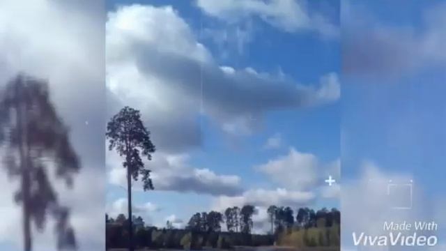 Утро в осеннем лесу. Озеро "Лебяжье" смотреть онлайн