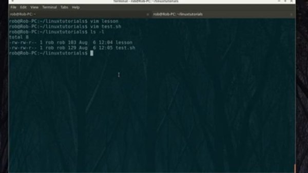 How to run a .sh file in Linux