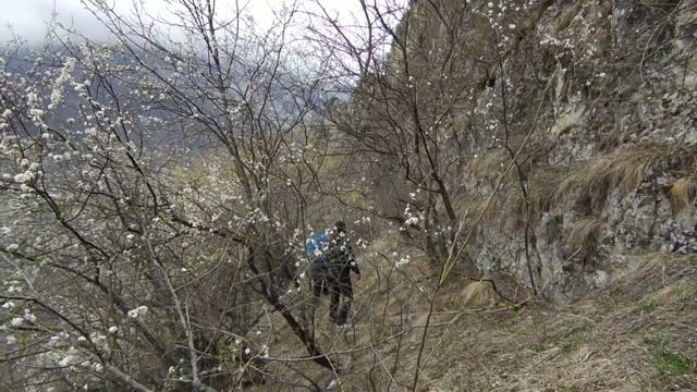 Поход в "Пещеру" горного массива Итум-Калинского района смотреть онлайн