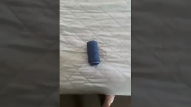 Fabriq smart speaker review of Amazon music смотреть онлайн
