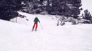 Fischer RC4 Superior skitest