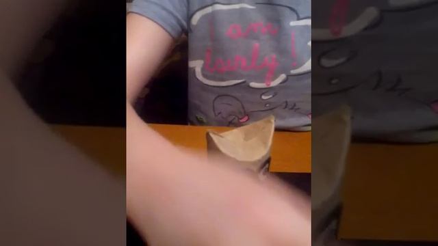 Сова из втулки и пластилина ЧАСТЬ 1 смотреть онлайн