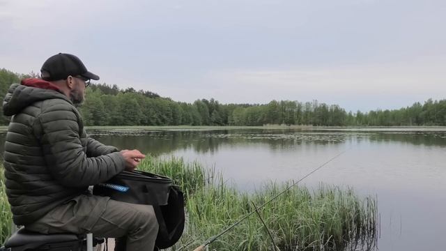 Ловля ЗОЛОТОГО КАРАСЯ на Поплавок в Кувшинках / Float Fishing for Сrucian CARP in Margins смотреть онлайн