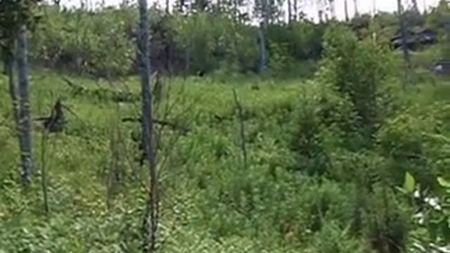 Поиск воды смотреть онлайн