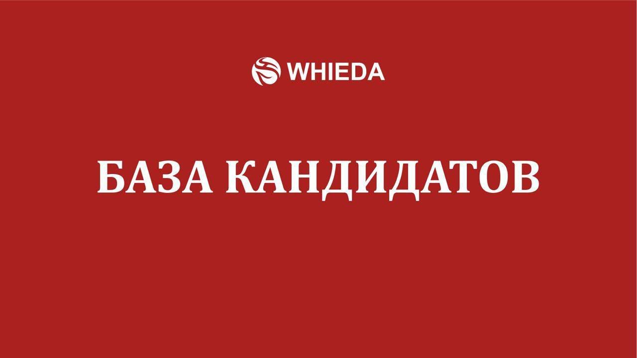 WHIEDA | База кандидатов или Список | Андрей Бобрышев смотреть онлайн