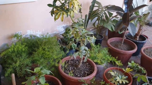 Маржанбулак - Садовник САХОБИДДИН смотреть онлайн