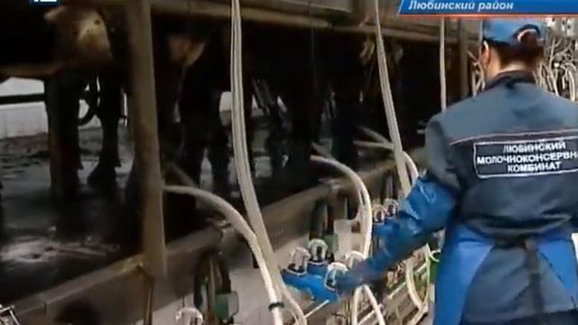 Реконструированная ферма в Омской области